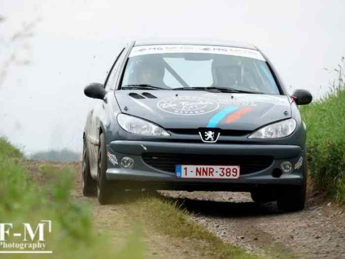 Peugeot 206 RC 1