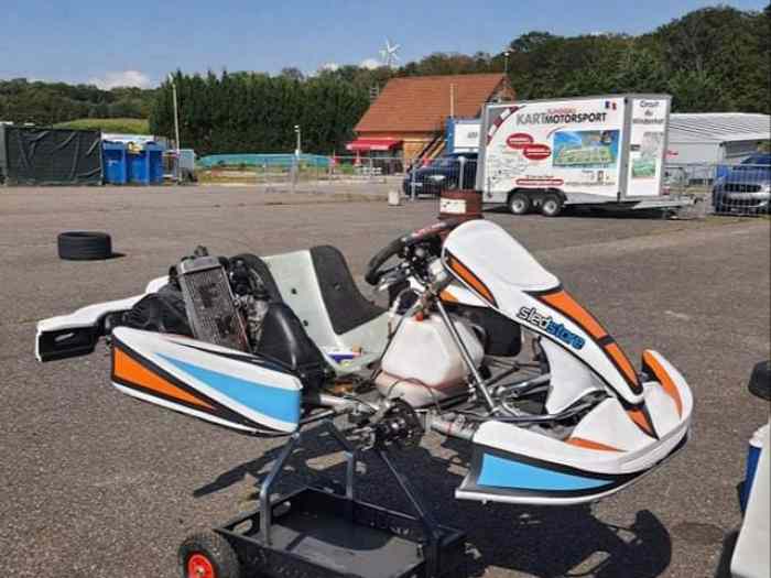 Vends Karting rotax 1