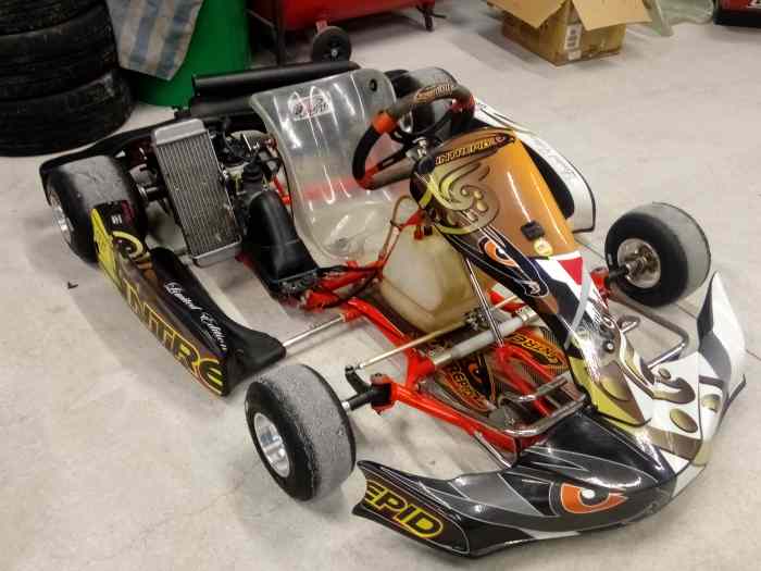 Karting intrepid 125 rotax max 1