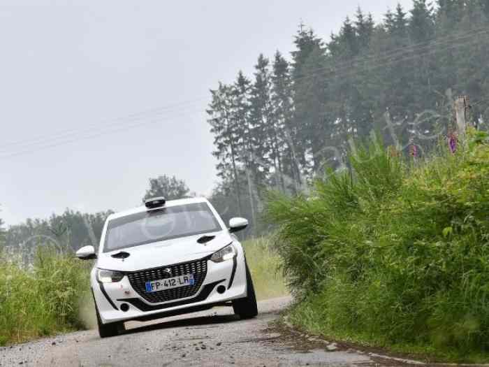 Vend Peugeot 208 Rally4 !New châssis! 1