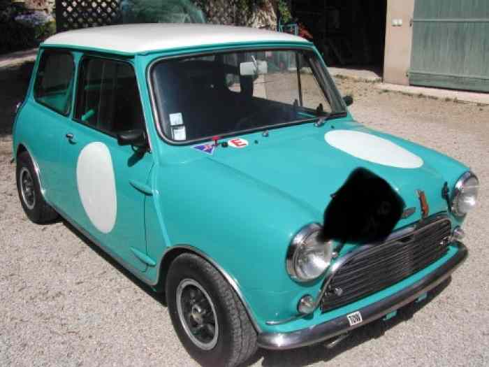 Mini Austin fia