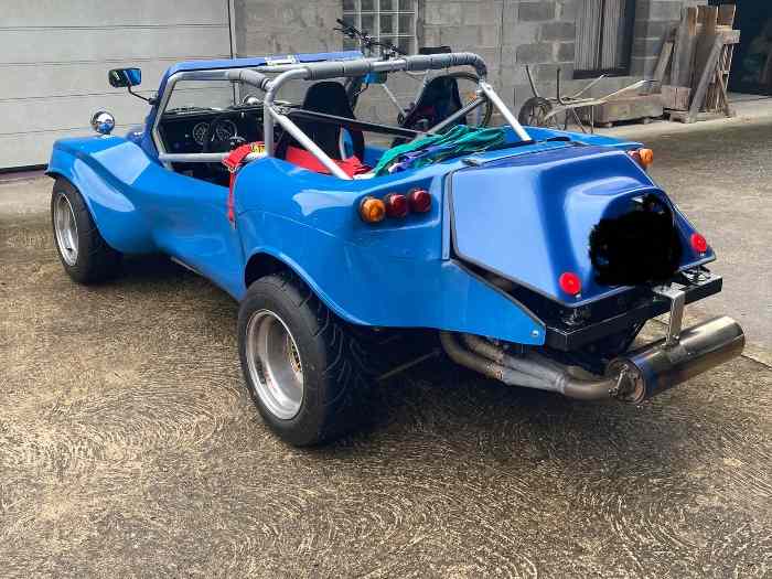 Buffalo buggy 2025
