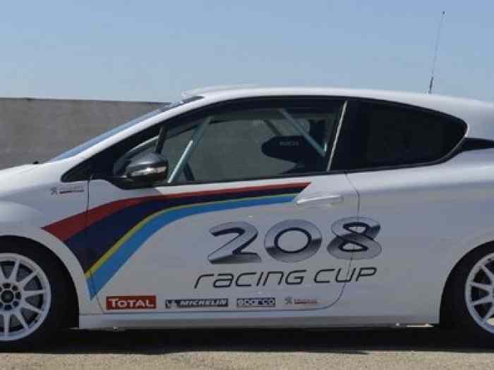 MOTEUR 208 RACING CUP