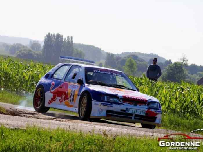 Peugeot 306 Maxi 1