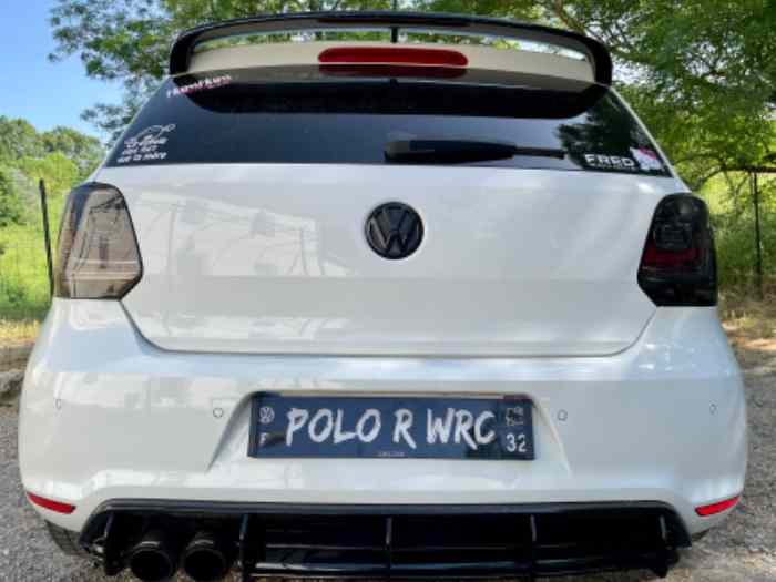 Polo Wrc 3