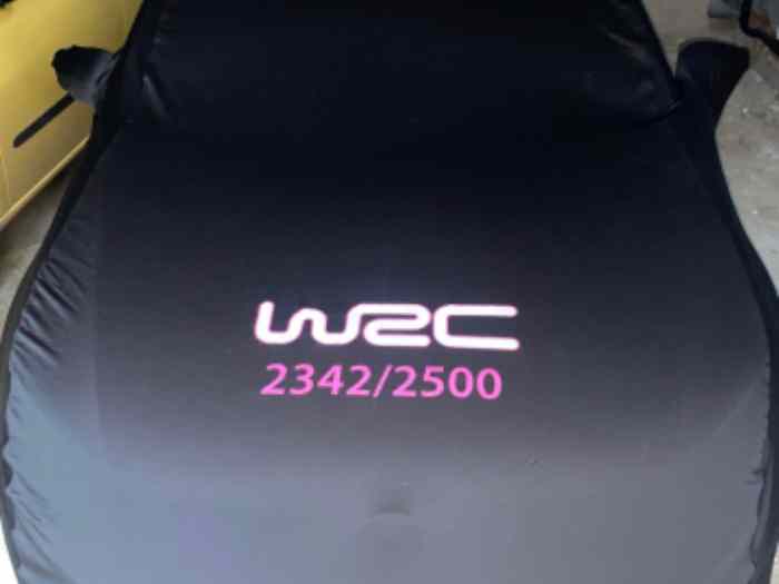 Polo Wrc 1