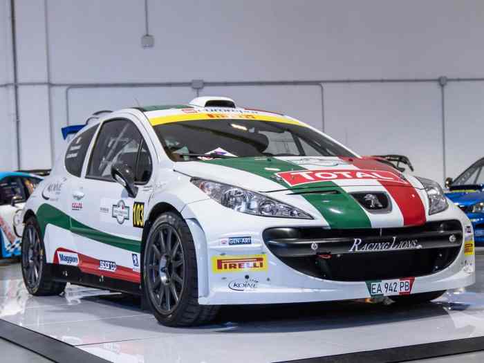 Peugeot 207 S2000 ex Andreucci #81 1