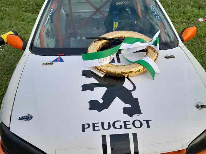 Peugeot 1,6 16V Sadev E1 2