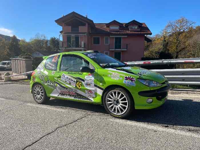 Peugeot 206 RC Gruppo N 1