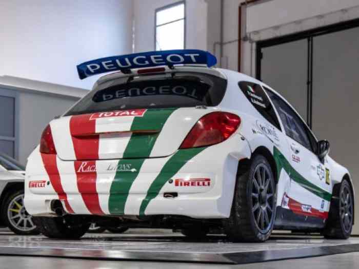 Peugeot 207 S2000 ex Andreucci #81 3