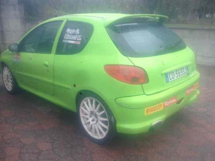 Peugeot 206 RC Gruppo N 3