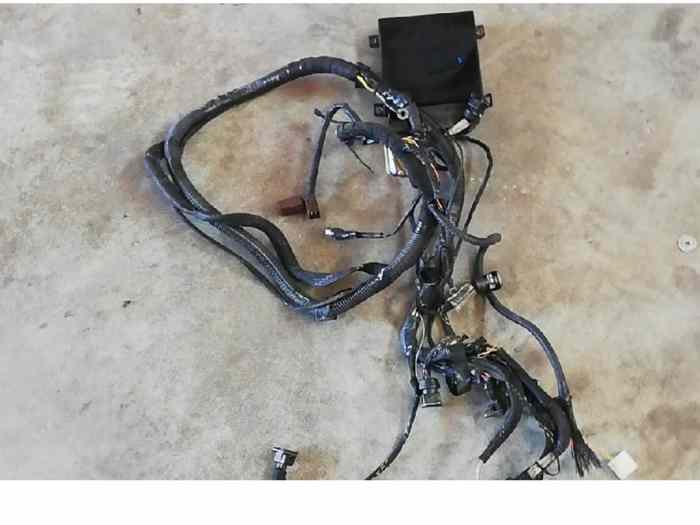 Faisceau calculateur Peugeot 206