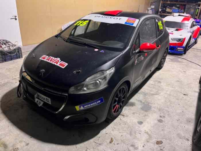 208 Racing cup RPS