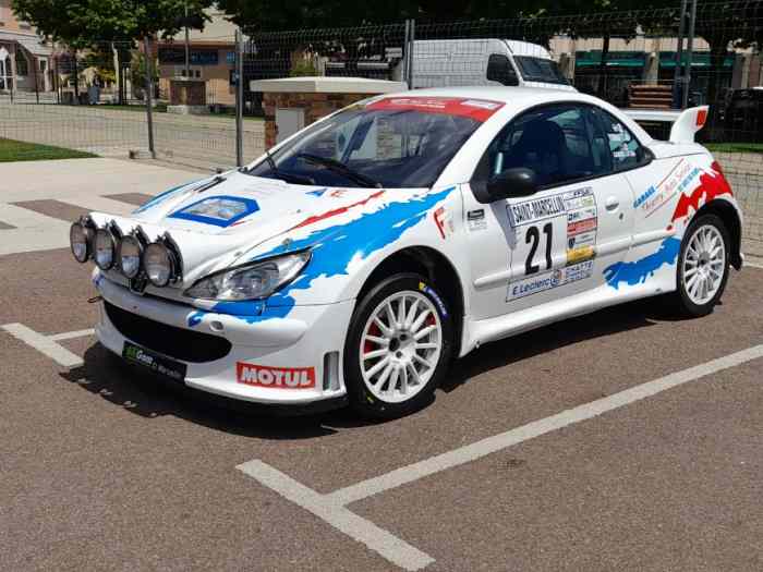 206 CC s16