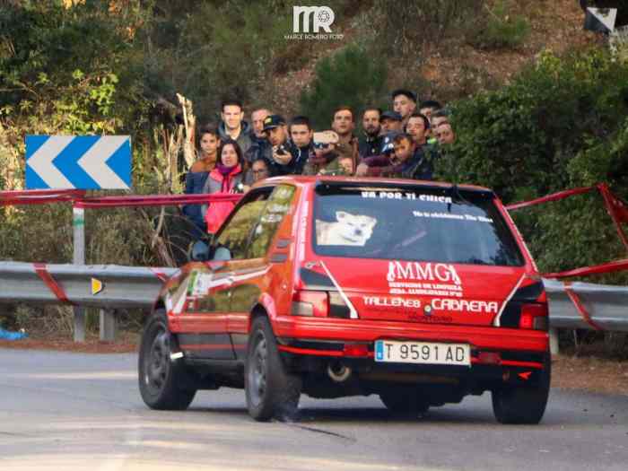 Peugeot 205 GTI 4