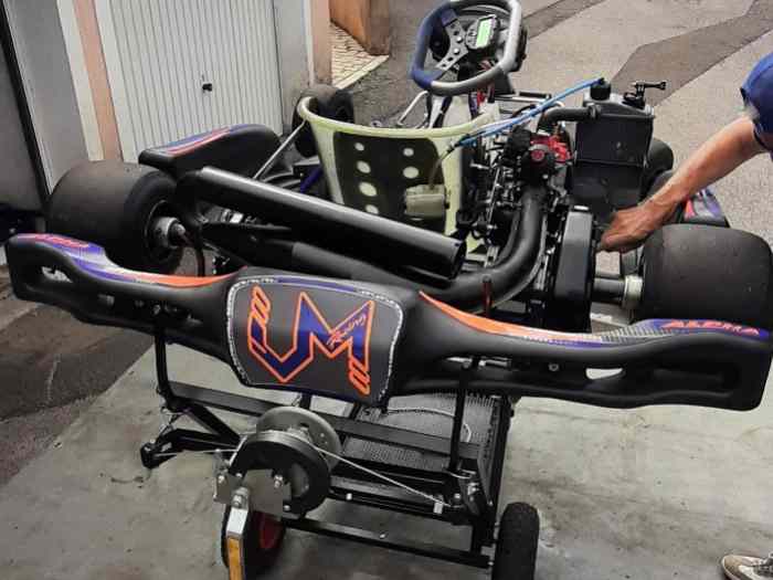 Karting ROTAX MAX EVO 3
