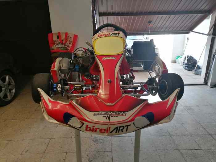 Ensemble Kart Birel 125 +Jaguar 4x4 3.0 v6 a venir chercher Region Lisbonne 0