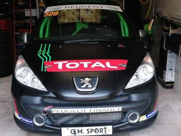 Peugeot 207 THP RPS 210 CV