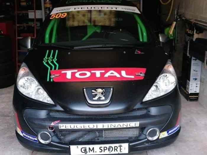 Peugeot 207 THP RPS 210 CV 0