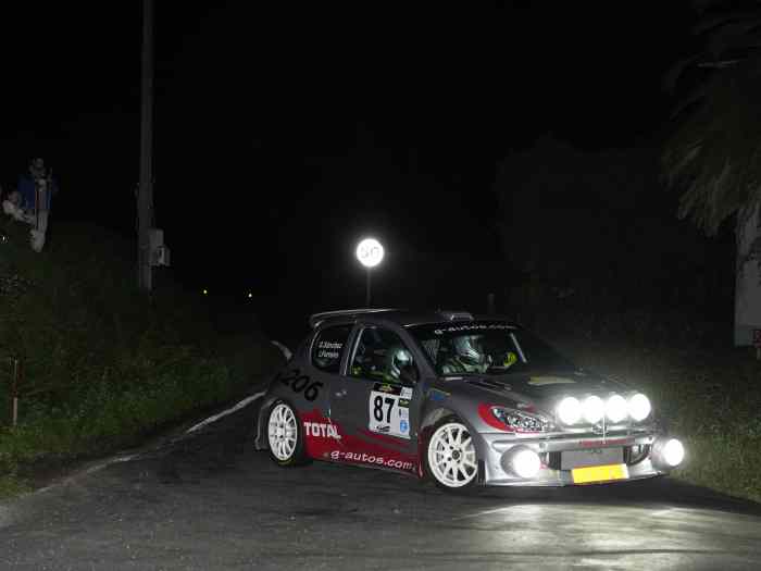 Peugeot 206 S1600 Ex Usine Collection Car 4