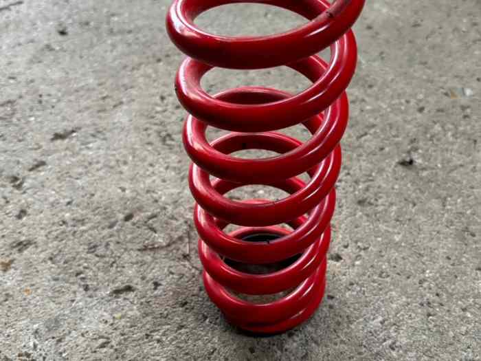 Ressorts ammortisseurs clio F2000/N/A/R3 etc 1
