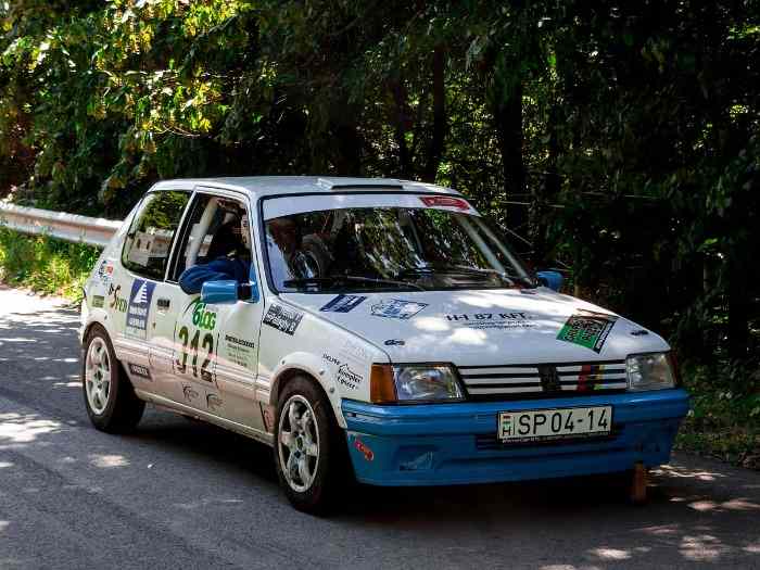 caisse 205 gti sur trains