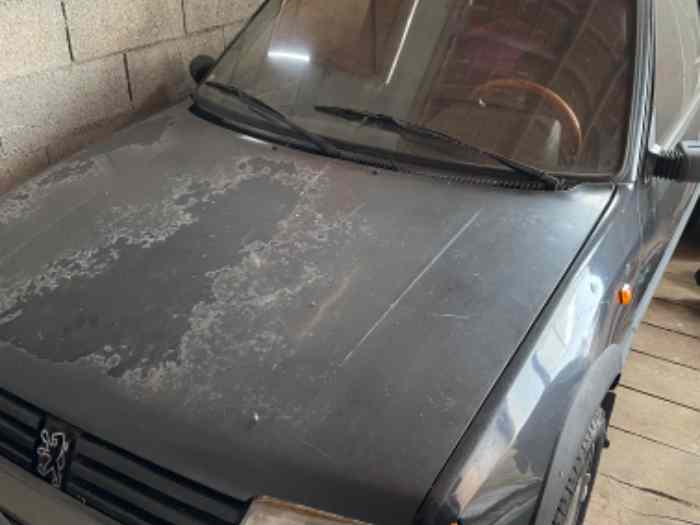 Peugeot 205 Gti Classique Sport 0
