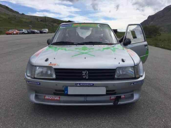 Peugeot 205 F2000 3