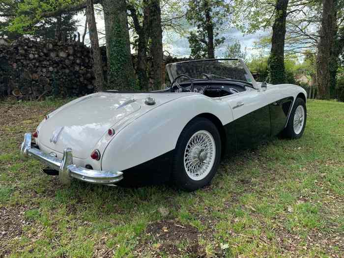 AUSTIN HEALEY 3000 MK1 1