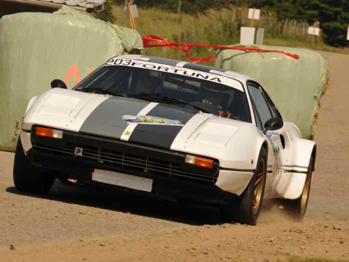 Ferrari 308 Groupe 4 PTH 4