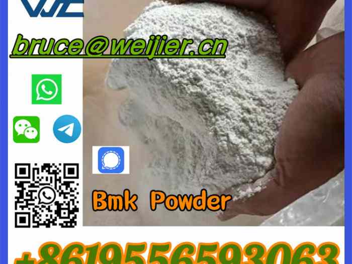 High Quality Raw Material Powder BMK Glycidic Acid CAS 5449-12-7 2