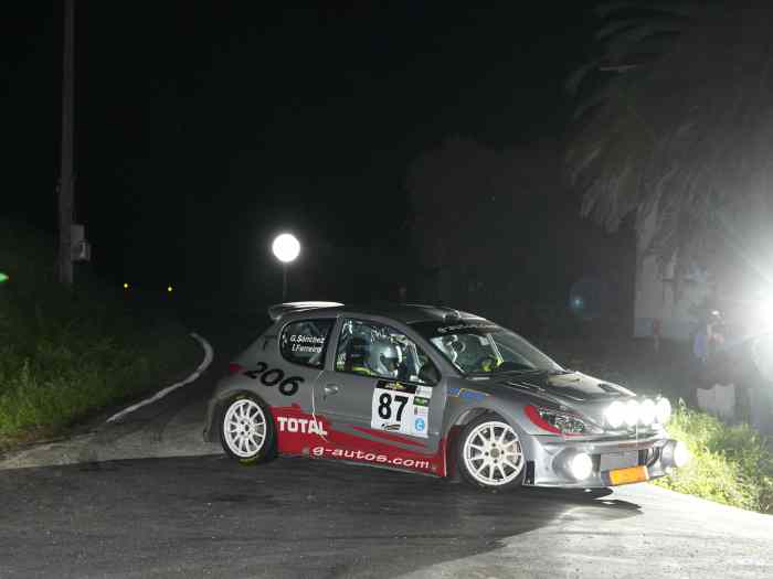 Peugeot 206 S1600 Ex Usine Collection Car 0