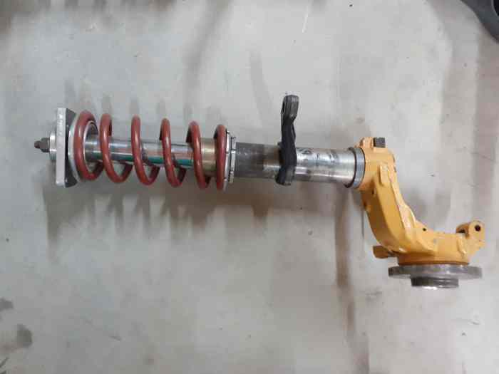 Jambe de force + amortisseur 306/ 406/106/saxo 1