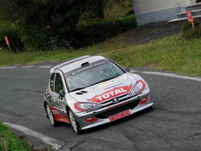 Peugeot 206 S1600 Ex Usine Italia Collection Car 0