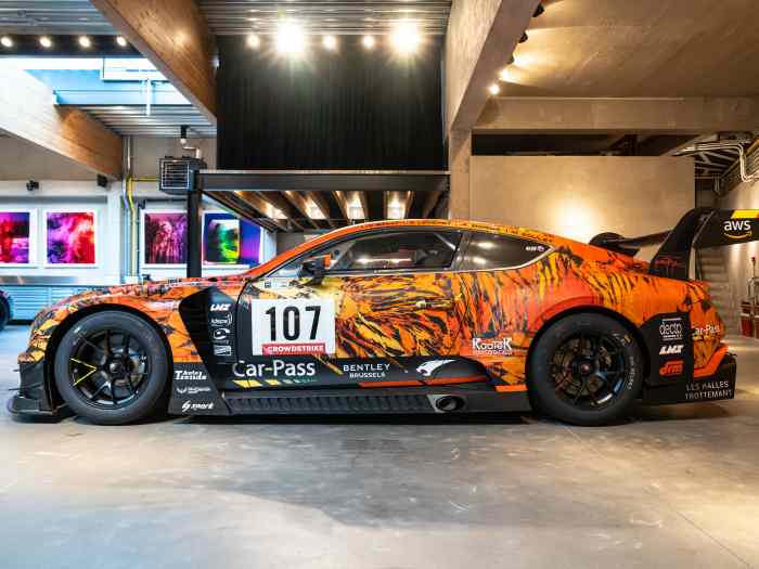 Bentley Continental Gen II GT3 “Art-Car” 1