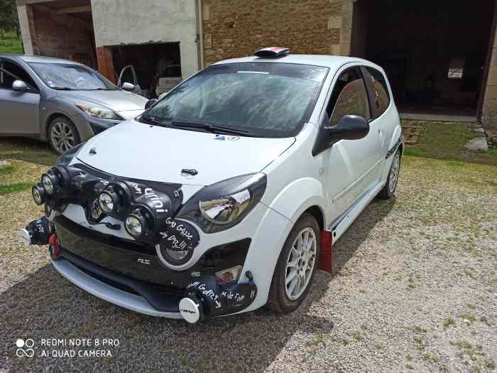 VENDU merci mikado TWINGO R1