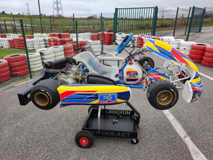 KARTING DD2 état neuf 1