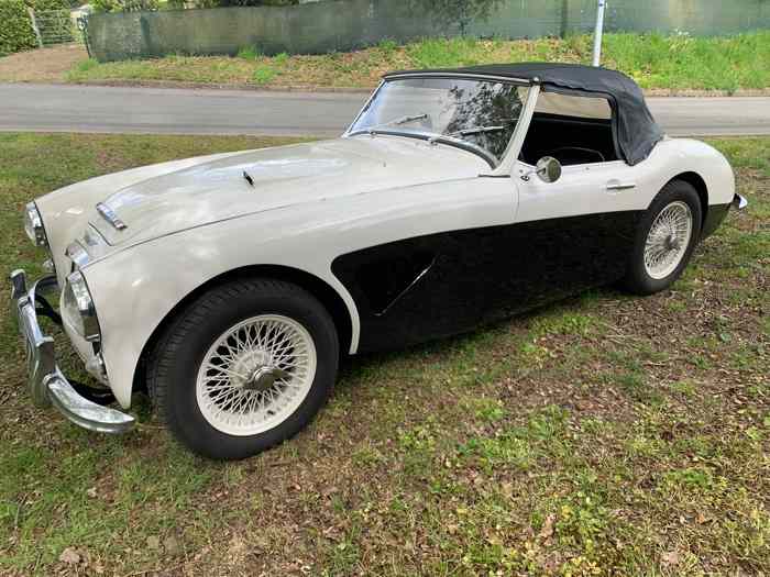 AUSTIN HEALEY 3000 MK1