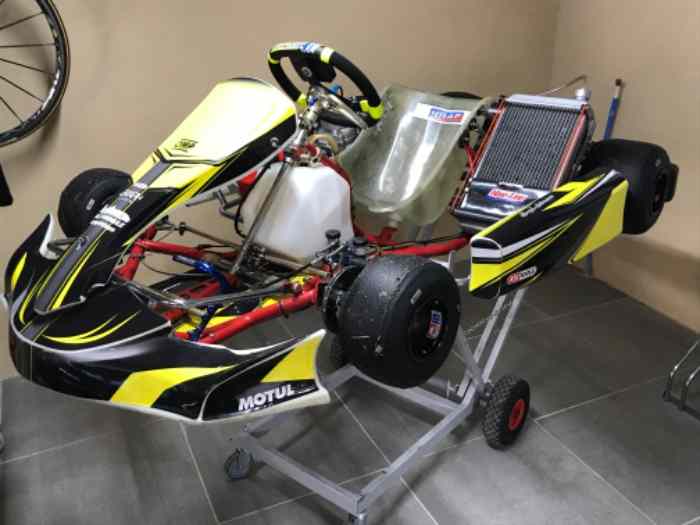 125cc KZ10B Birel 2016 0