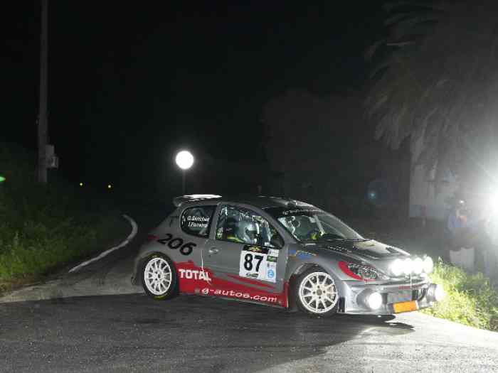 Peugeot 206 S1600 Ex Usine Collection Car 0