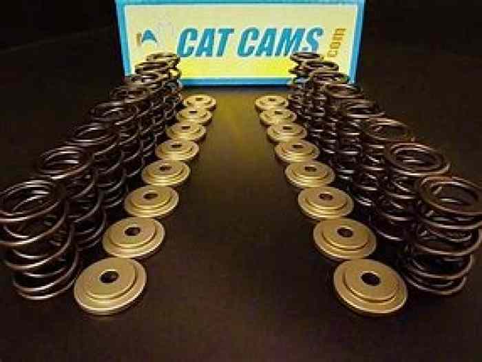 Cat Cam 1