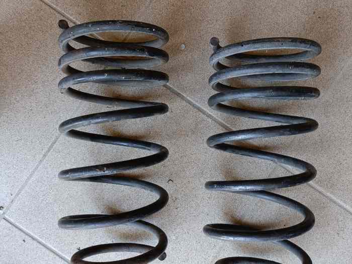 Ressorts courts Eibach -30mm Clio Williams 16s 0