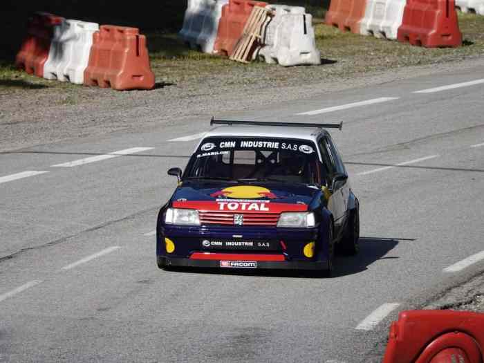 Peugeot 205 rallye f2000/1 1