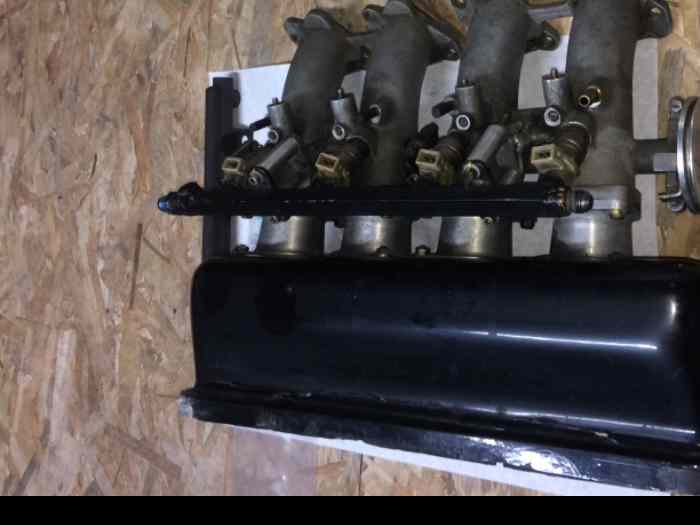 Admission papillons 306 Maxi 0