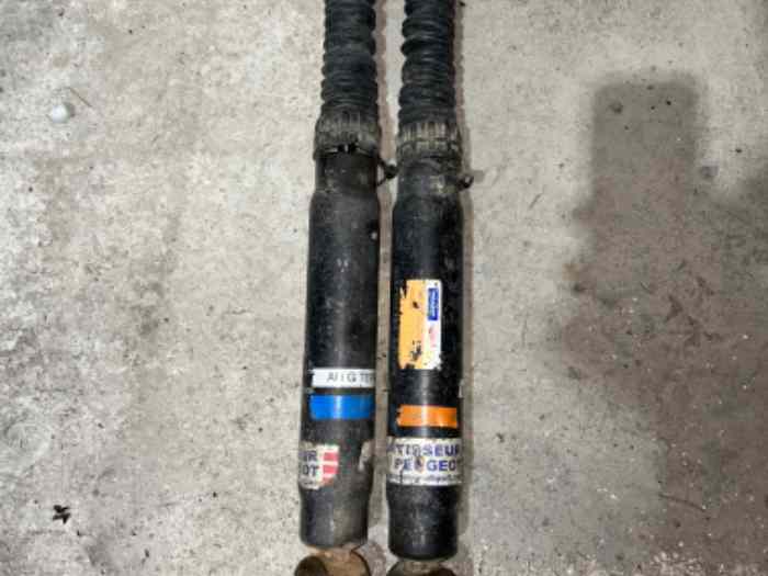 Vends 2 amortisseurs ar peugeot sport ...
