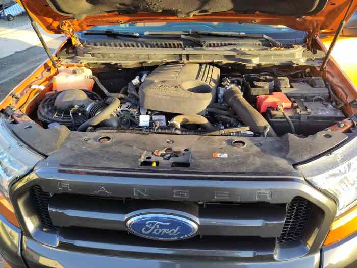 FORD RANGER 3.2 TDCI, BVA, Wildtrak, Super CAB (cabine approfondie) TVA récupérable 3