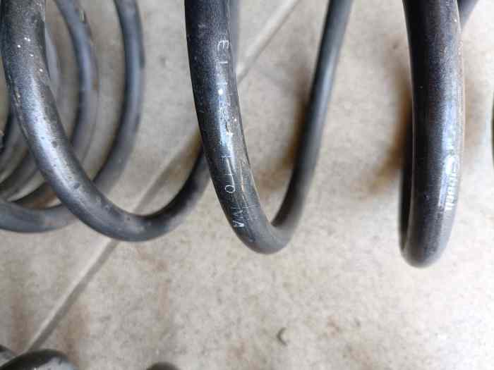 Ressorts courts Eibach -30mm Clio Williams 16s 2
