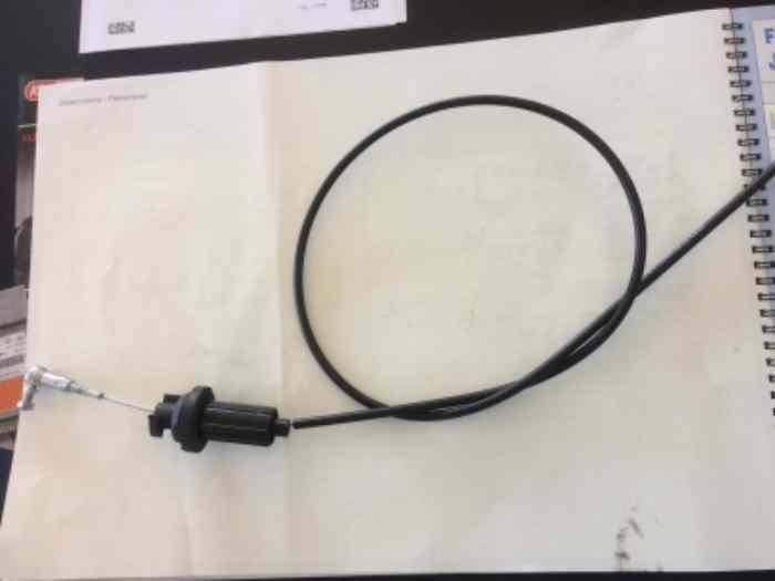 Admission papillons 306 Maxi 3