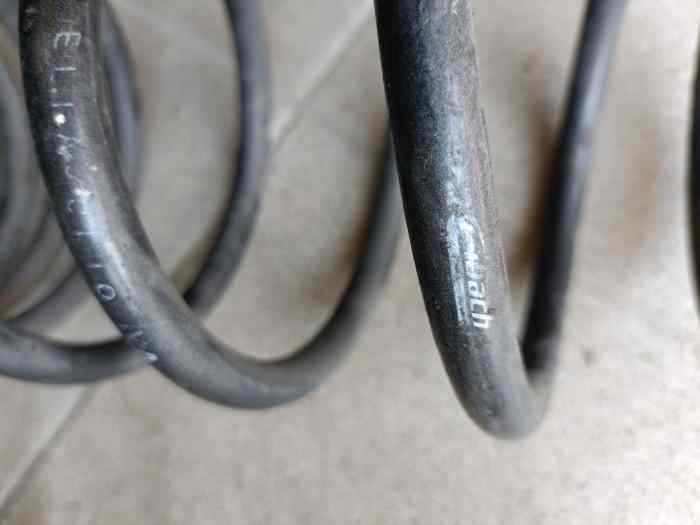 Ressorts courts Eibach -30mm Clio Williams 16s 1