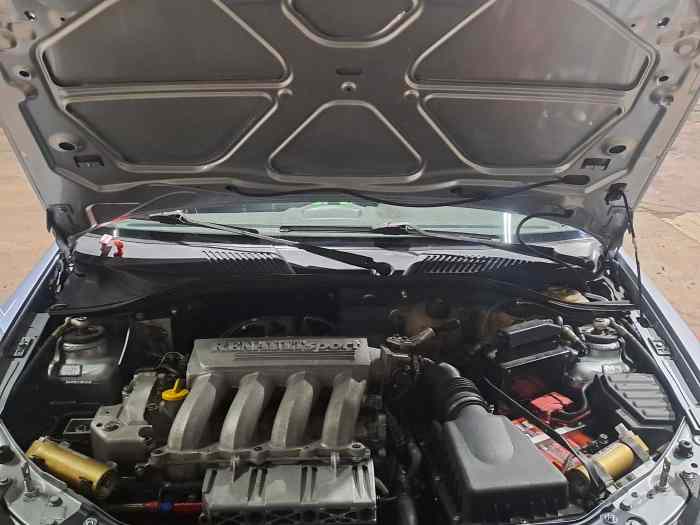 CLIO RAGNOTTI TOP N3 1